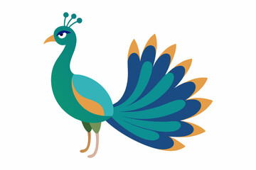 Obraz premium Peacock vector illustration