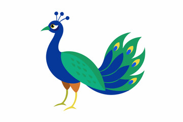 Peacock vector illustration