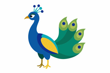 Peacock vector illustration