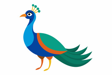 Peacock vector illustration