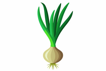 Onion vector illustration 