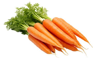 Raw carrots exposed on white background for culinary use