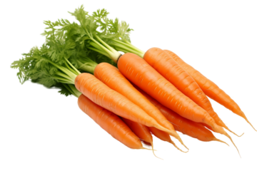 Raw carrots exposed on white background for culinary use