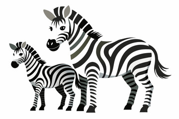 Fototapeta premium Adult and Young Zebra Standing Side by Side
