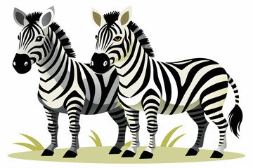 Obraz premium Two Zebras Standing in Grass with Stripes and Hooves