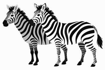 Obraz premium Two Zebras Standing Side by Side, One in Front of the Other