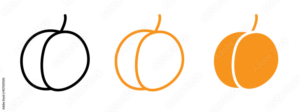 Poster apricot icon web design in vector