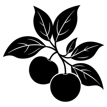 recommend clip art: Tangerine plants with leaves silhouette 