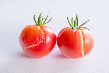 雨に当たってひび割れたトマト