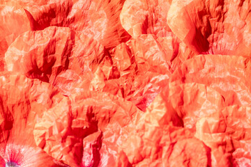 A Beautifully Vibrant and Textured Coral Paper Background Perfect for Various Artistic Purposes