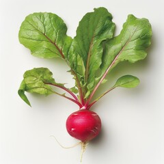 Pure and fresh red radishes, showcasing their natural vibrancy.