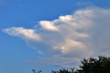 sky, blue, 구름, 구름, 네이처, 백, 날씨, 일, 공기, 여름, 라이트, 천국, 경관, h2o, 태양, 기운, 맑은, beautiful, 내추럴, 똑똑하다, 나무, 흐린, 아웃도어