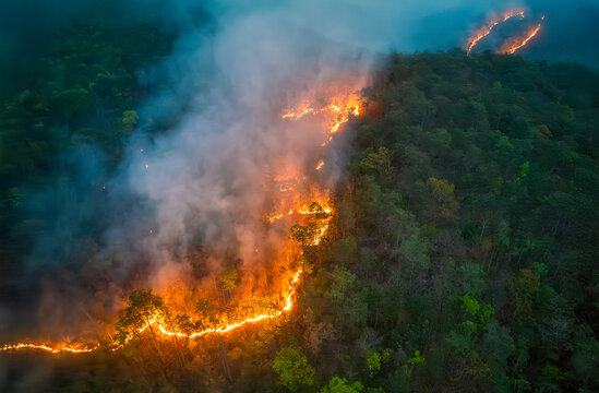 Wildfires release carbon dioxide (CO2) emissions and other greenhouse gases (GHG) that contribute to climate change.