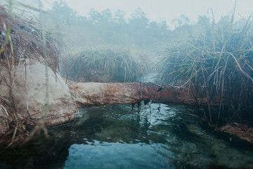 On-sen of Thailand,Fang Hot Spring at National Park in Chiang Mai,Thailand.