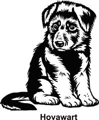 Puppy Hovawart - Dog Breed, Puppy Breed Vector File, detailed vector