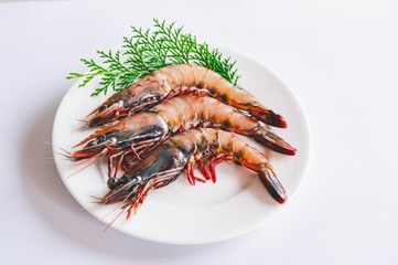 
天然有頭海老　イリアンタイガー
