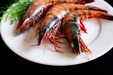 天然有頭海老　イリアンタイガー