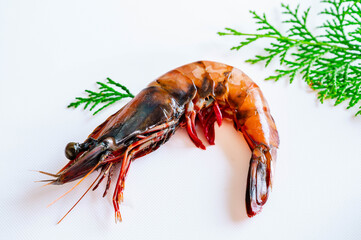 天然有頭海老　イリアンタイガー