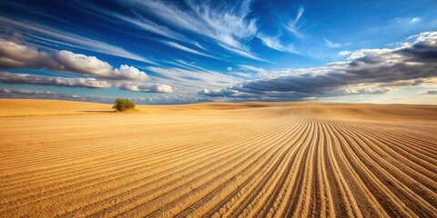 Barren desert sands slowly engulf a once thriving harvest field, harvest, desert, cyclical, life, nature, transition, change