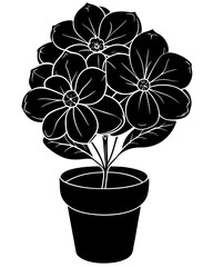 Kalanchoe flower in a pot silhouette vector illustration 