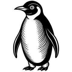 penguin isolated on white background