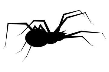 Black spider icon isolated on white background