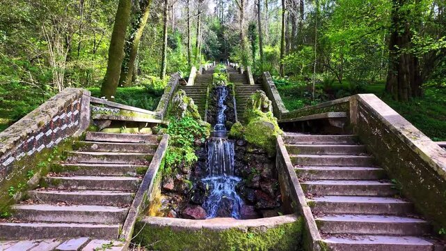 Famous water stairway Fonte Fria in the magical ancient forest of Bussaco in Luso, Aveiro in Portugal, fairy tale enchanted green trees
