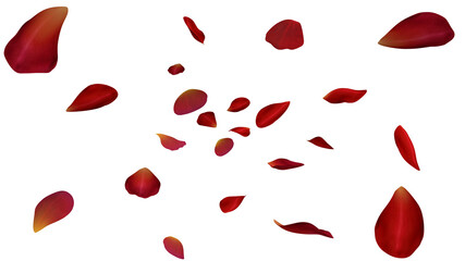 Red rose petals flow on transparent background, 3d render