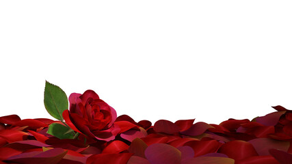 Red rose on pile of petals ground on transparent background, 3d render