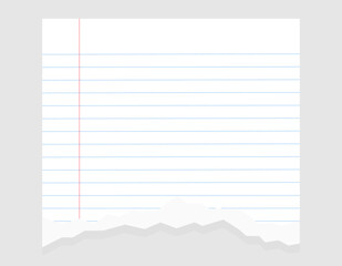 Torn paper, Ripped lined notebook paper sheet