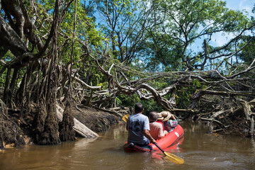 Tourist people on canoe visit Little Amazon to see aged wild Banyan Tree