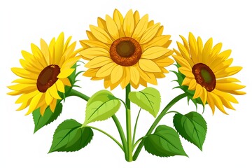 sunflowers watercolor