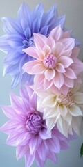 Obraz premium Pastel flowers arranged beautifully against a soft background