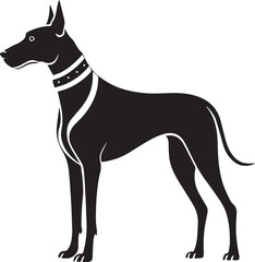 great Dane Dog full body with leather belt  illustration  silhouette black and white transparent background