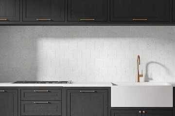 Luxury home kitchen interior with washbasin and stove, empty space