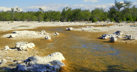 in einem ausgetrockneter See in Sumba - einer Insel in Indonesien - liegen am Grund malerisch weiße Korallensteine