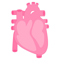 human heart illustrations 