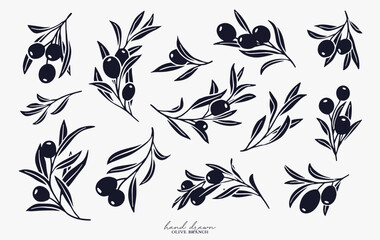 Olive Branch for olive oil logo or olive icon, hand drawn olive branch botanical herbs elements in vector format, floral olive frame and border and virgin oil © kawacreative