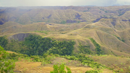 Schöne Landschaft nahe Waingapu in Sumba mit braunen grasigen Bergen und grünem Wald  in der Trockenzeit