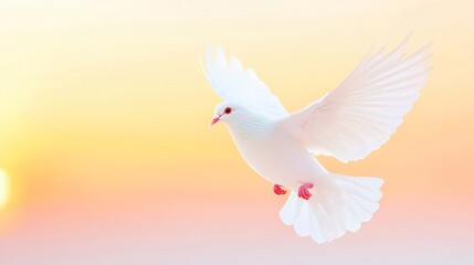 Serene White Dove Against a Vibrant Sunset Sky, a peaceful symbol of hope and tranquility soaring through a breathtaking blend of warm hues and fading light