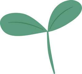 Seedling young plant