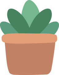 plant in a pot