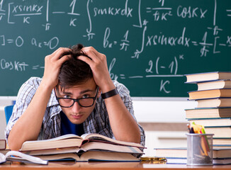 Young male student studying math at school