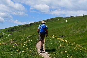 Mann wandert auf Seceda in Südtirol 