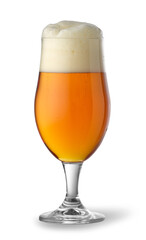 glass of beer