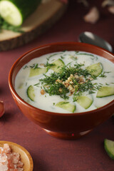 A bowl with Tarator cold soup - traditional Bulgarian dish	