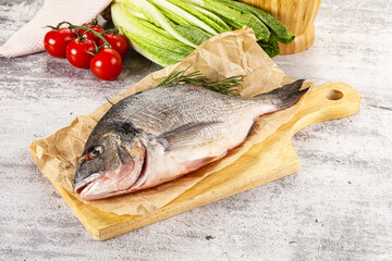 Raw dorada fish served rosemary