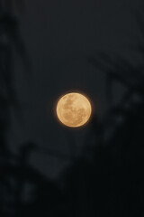 full moon rising in the night