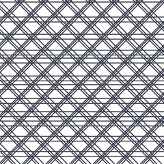 Adobe Illustrator Artwork with intersecting straight lines in the form of a lattice.