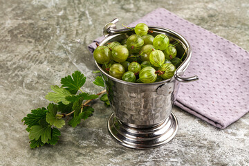 Ripe sweeet and juicy gooseberry